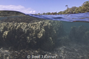 Looking at two worlds with one shot - coral garden and be... by Beat J Korner 